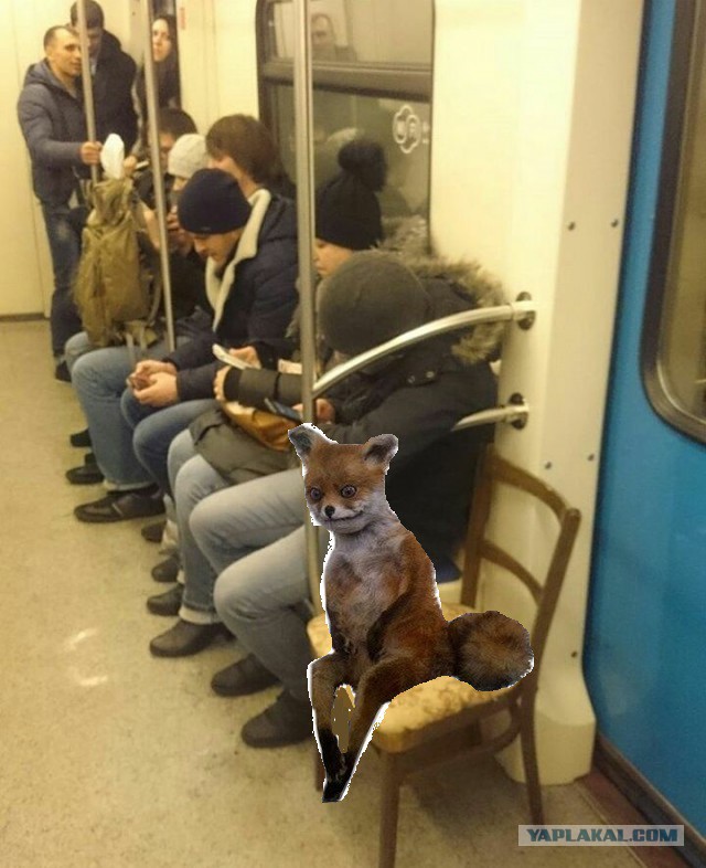 Железнодорожного юмора пост