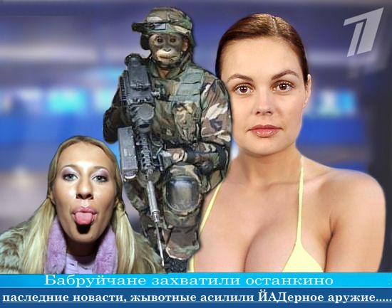 БЕЛКИ. Все про белок, прикольные белки!