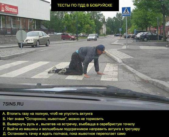Фотожаба: ползун