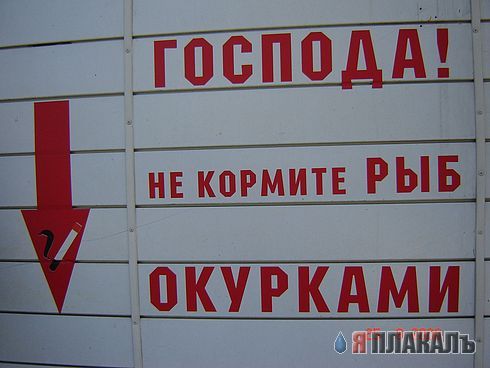 ОБЪЯВЛЕНИЯ. На стенах, в газетах, афиши.