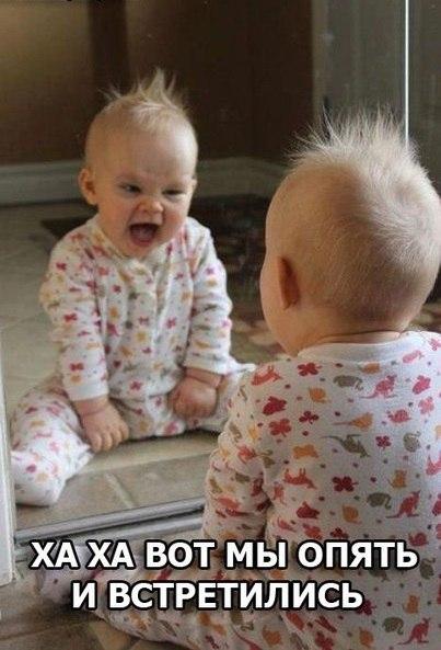 Интересные и веселые картинки