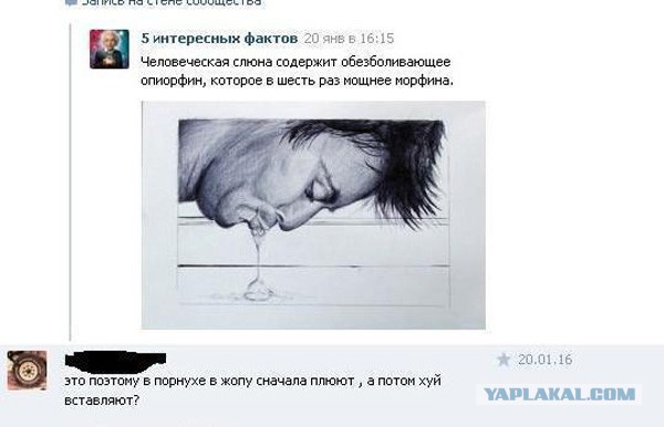 Ужасы и приколы из соцсетей 18+