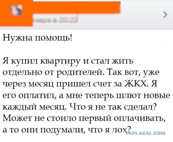 Смешные комментарии из социальных сетей 13.05.2016