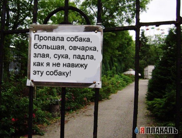 Осторожно, злая собака