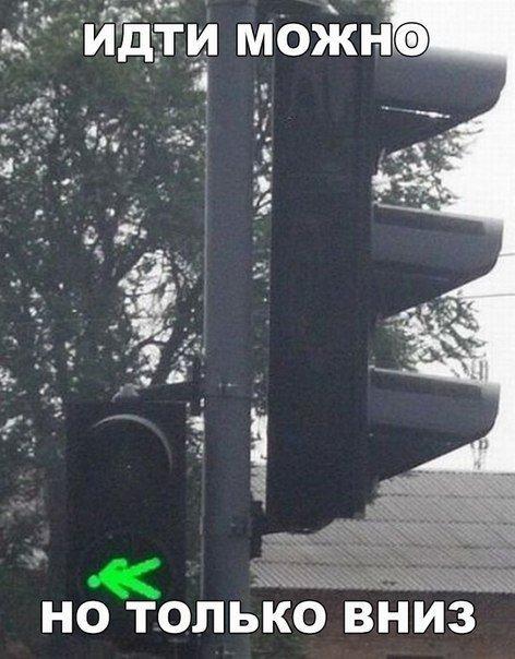 Поборка веселых фотографий