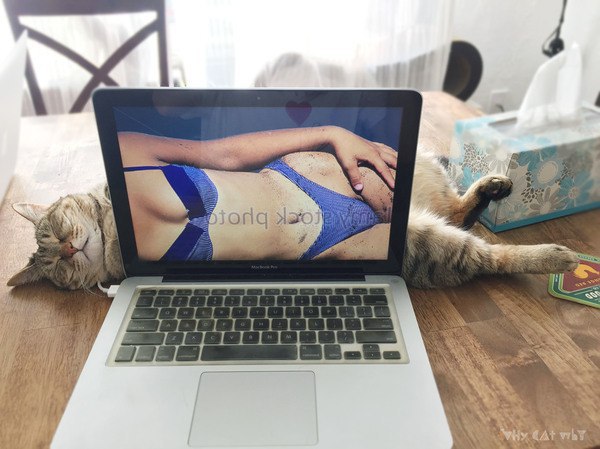 Прикольные животные