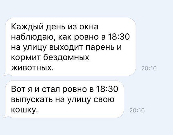 Смешные комменты из соцсетей и другие приколы.