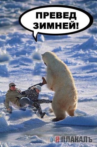 Папо,ну зачем ты бухал с утра?