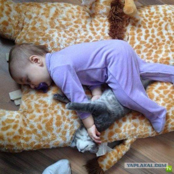 Немного позитива на выходной я начну а вы продолжите