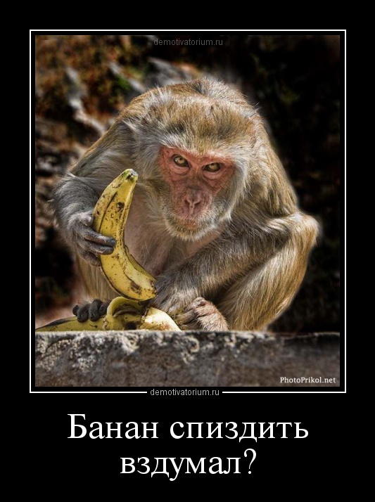 Подборка интересных и веселых картинок