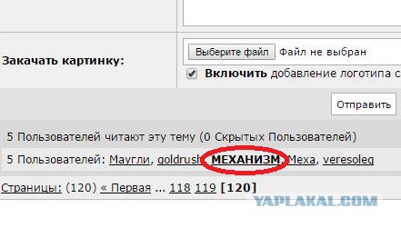 Жизнь как она есть 2