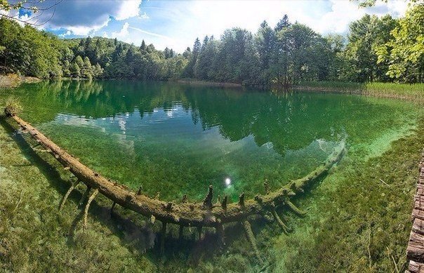 Моменты, запечатлённые на фото и просто позитив 5