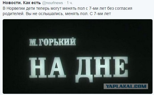 Жуткие подробности жизни в Норвегии. Легализованная педофилия