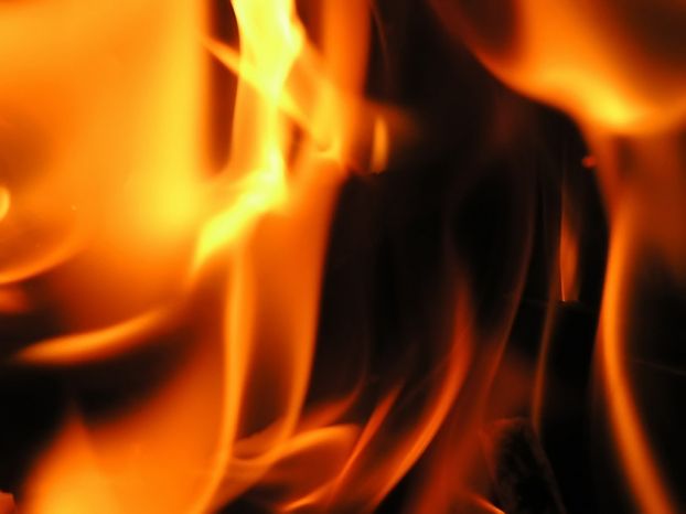 Пламя... Завораживает на генетическом уровне!