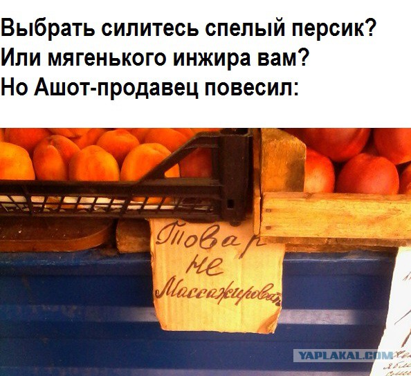 Вижу рифму!