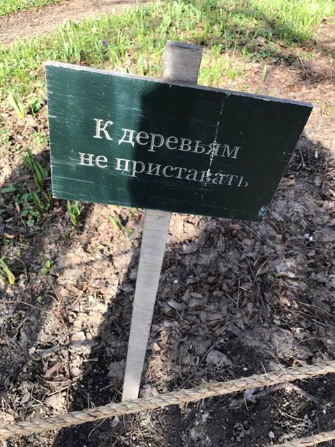 Надписи от тех, кто точно знает, как приковать наше внимание