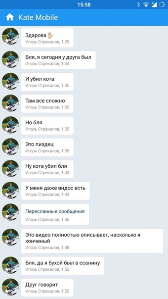 Студент Курганского культурного колледжа Игорь Стрекалов выбросил кота в окно ради хвастовства перед друзьями в сети