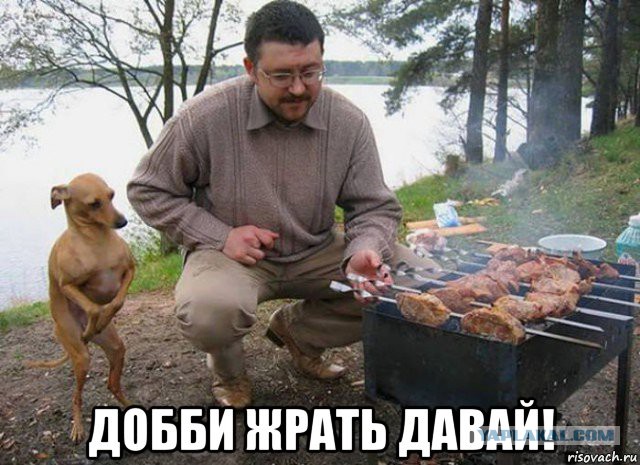 Прикольные картинки абавсём