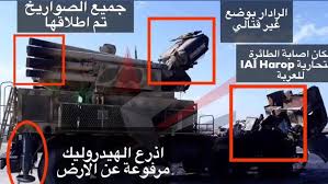 Экс-советник министра Израиля: России не стоит позориться с С-300 в Сирии
