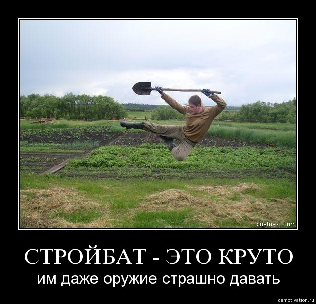 Я тоже в стройбате служил. Верю каждому слову