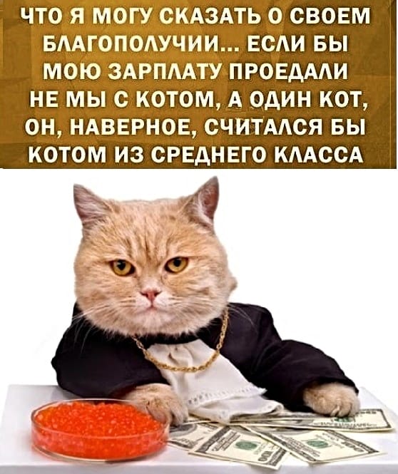 Россия теряет средний класс