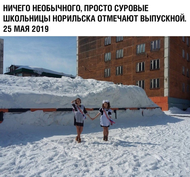 Прикольные комментарии и высказывания из Сети