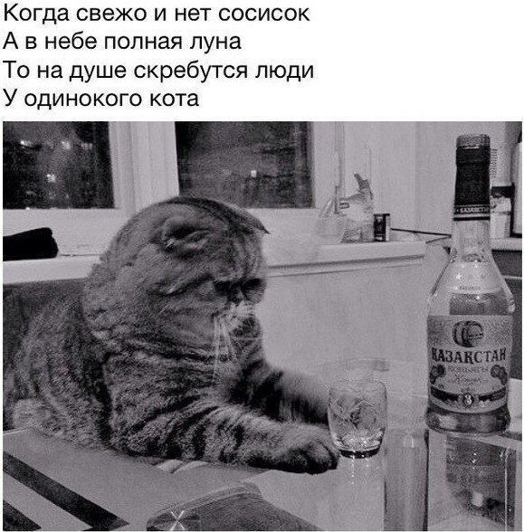Картинки с надписями, истории и анекдоты