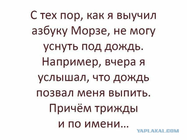 Делаем уроки, бутерброды, охотничью собаку и присоединяем Австрию к России