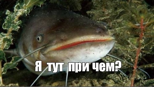Фарш в московском метро