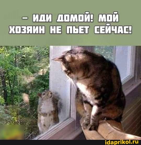 Немного картинок для настроения 15.01.20