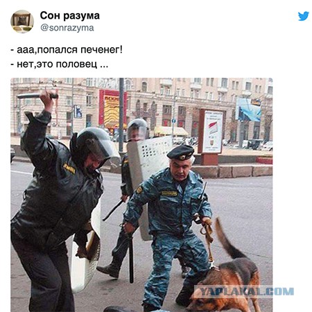 Печенеги, Путин, Плевако и плагиат.