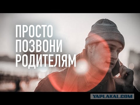 Каждый год этот аист прилетает к своим "родителям", которые когда-то нашли и выходили его