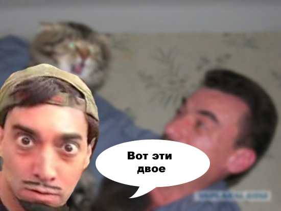 Злой кот
