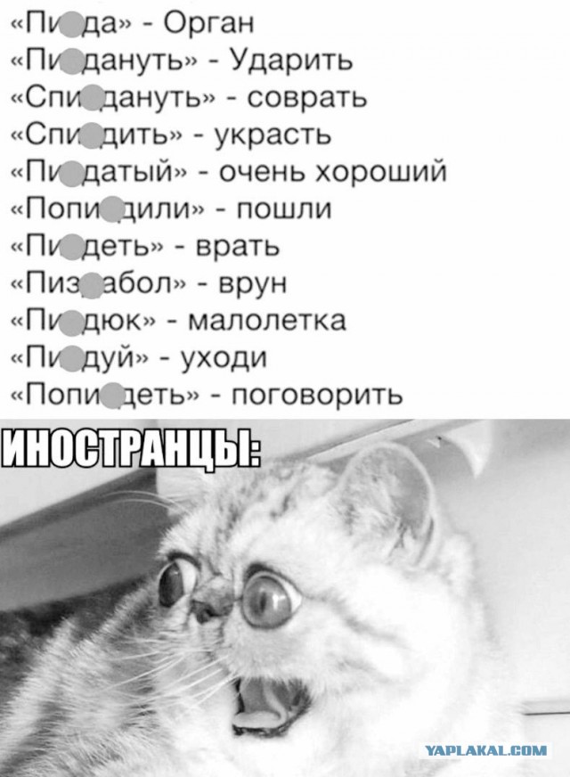 Немного картинок в пятницу