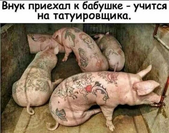Юмор в картинках 9.11.20