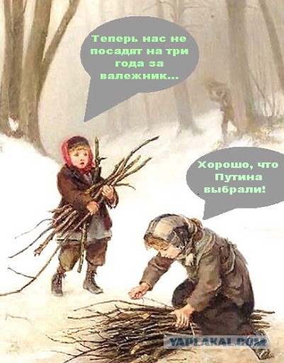 Жителю Гагино, который собрал не тот валежник в лесу, грозит 7 лет лишения свободы
