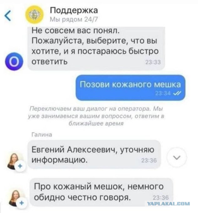 Фотки и картинки: юморные и красивые, забавные и милые 20.04.21
