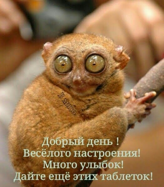 Прикольные и просто красивые картинки 04.06.2021