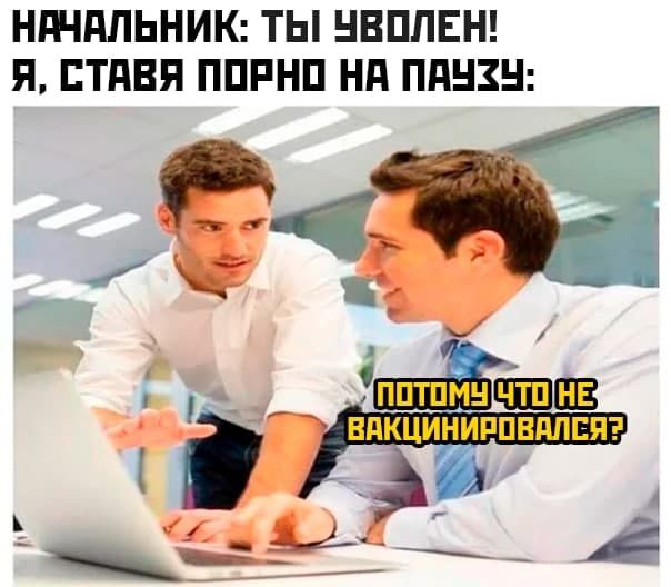 Картинки из рабочего чата 13.11.21