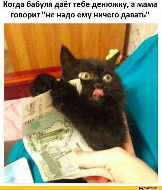 Картинки и буквы 15.07.22
