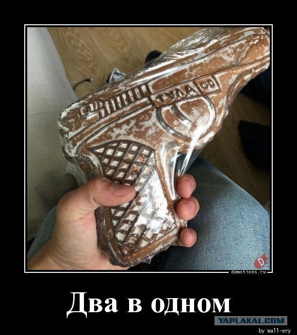 16566694.jpg