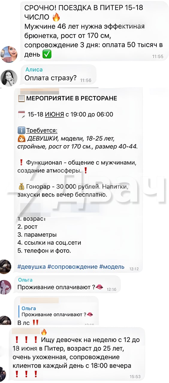По полям ПМЭФ табунами ходят эскортницы
