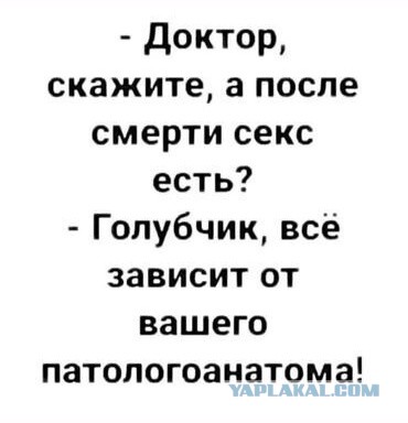 Пятница. И немного слегка пошлых картинок с надписями и без 16+ (25.11)