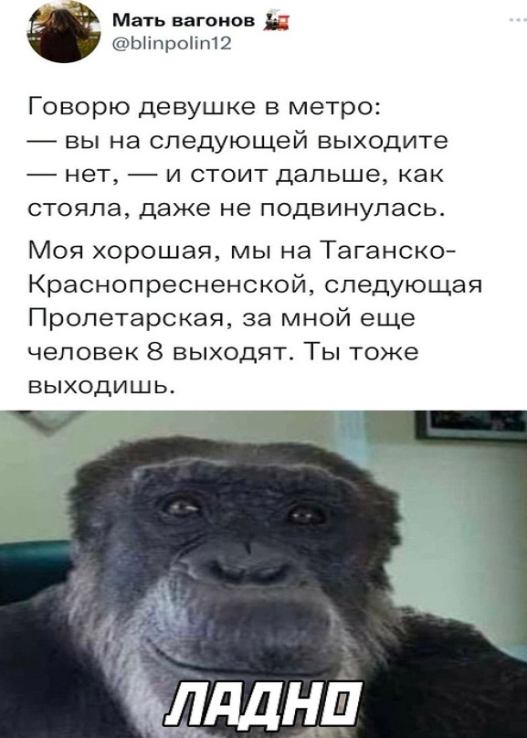 Мемы анекдоты смешные. Сейчас мы наблюдаем мем. Мемы и шутки 2024. Мемы анекдоты смешные. Актуальные смешные картинки.