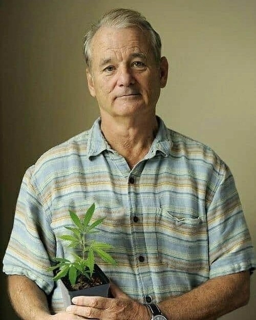 #9. Закрываем зиму