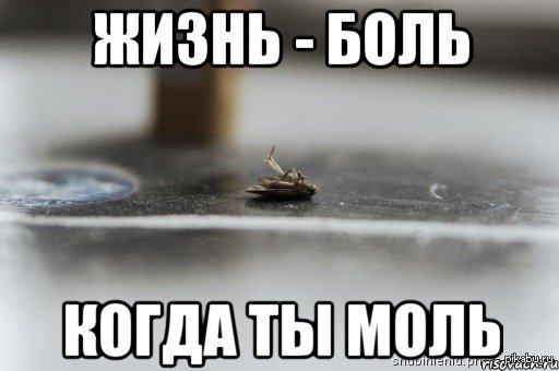 Хочу признаться....