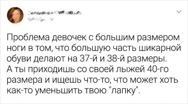 Весёлый полтишок 01.11.23