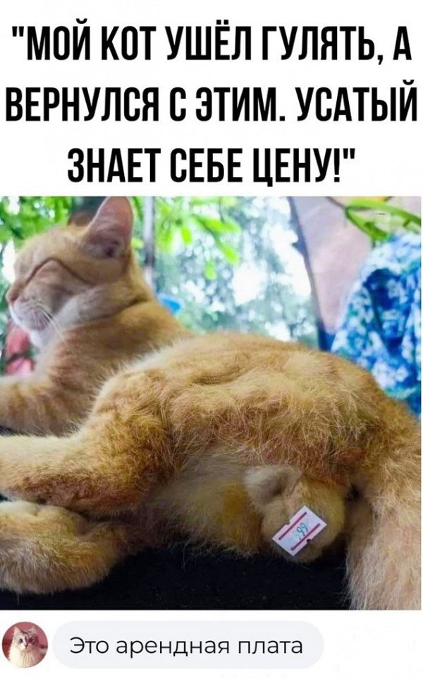 Улыбательные картинки разной степени свежести