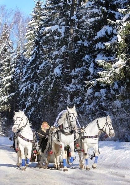 Прикольные и просто красивые картинки 22.02.2024