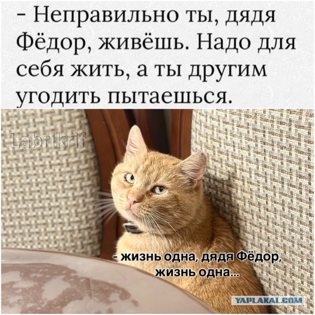 ТРРРидцать тРРРи от 23 апРРРеля